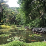 Sítio Burle Marx