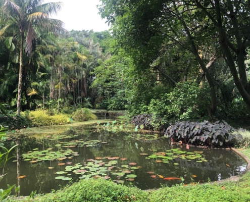 Sítio Burle Marx