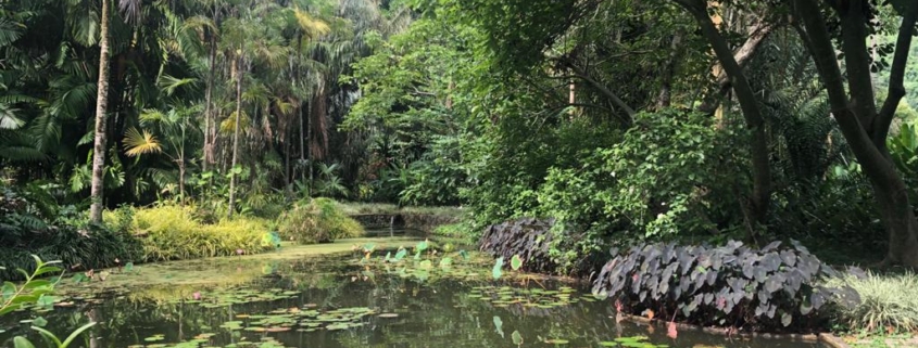 Sítio Burle Marx