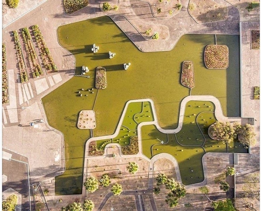 Cerrado brasileiro no paisagismo