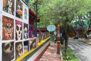 Medellin paisagismo em megacidades
